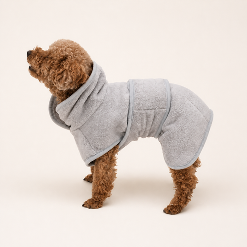 Small brown dog wearing a Gray Bobbin dog drying robe